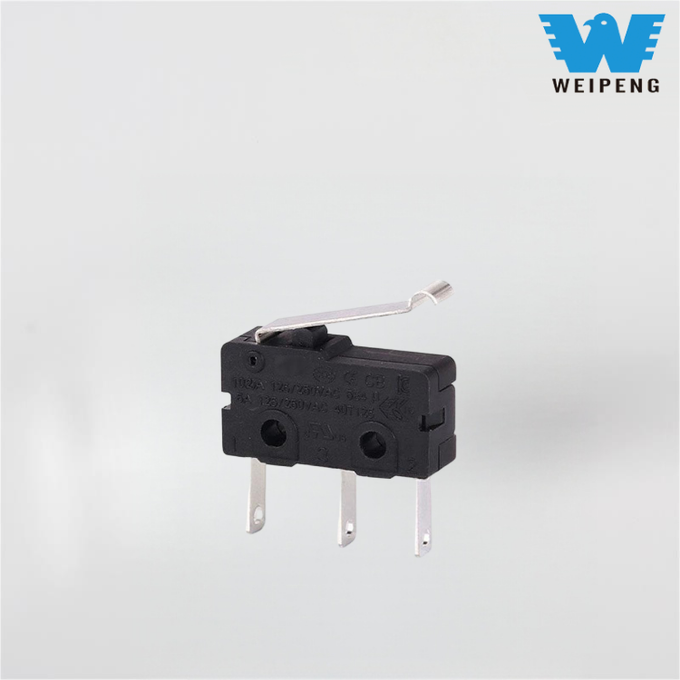 10A মিট গ্রাইন্ডার ব্লেন্ডার এবং সয়া মিল্ক মেকার সুইচ